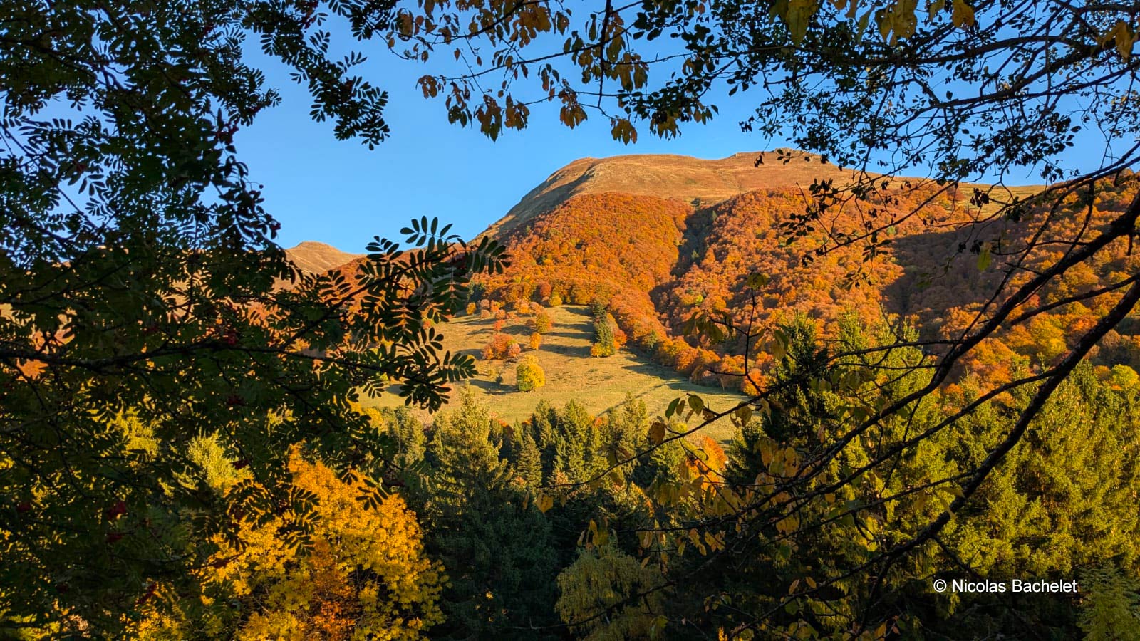 Vue depuis la commune de Saint-Jacques-des-Blats dans le Cantal en automne