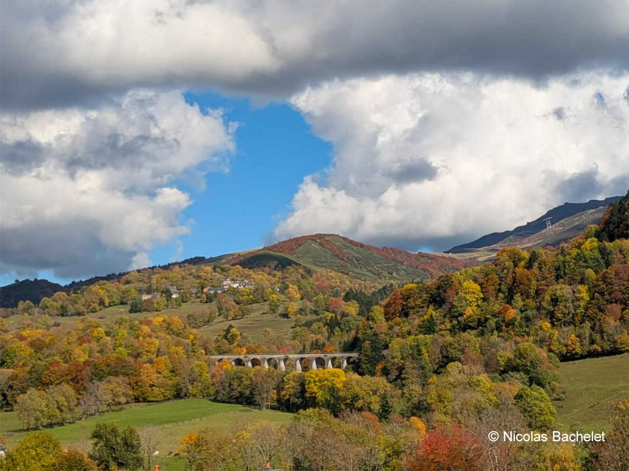 Mont du Cantal : commune de Saint-Jacques-des-Blats, couleur d'automne