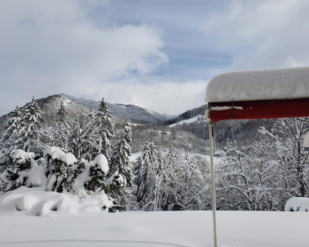 A Saint-Jacques-des-Blats, à la Ferme du Griou, Anais et Sylvain élèvent 30 vaches laitières de race Montbéliarde. La moitié de leur production de lait est transformée en Cantal fermier.