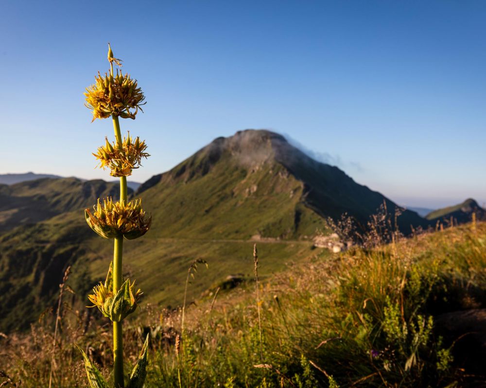 Puy Mary - Cantal ©puydimages