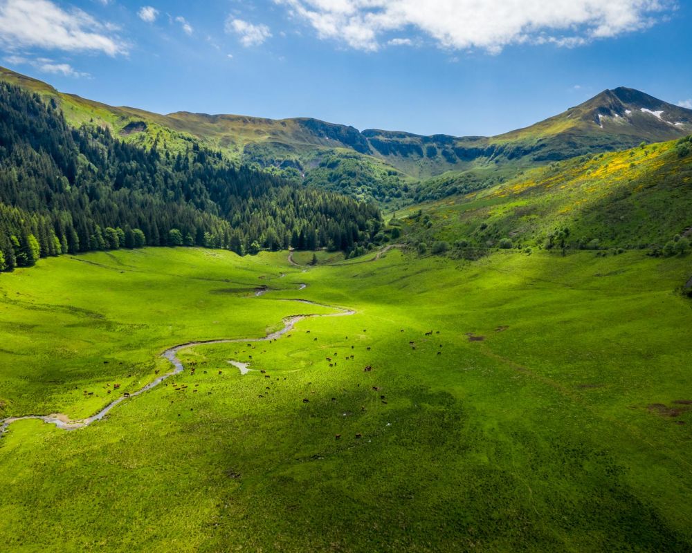 Puy Mary - Cantal ©puydimages