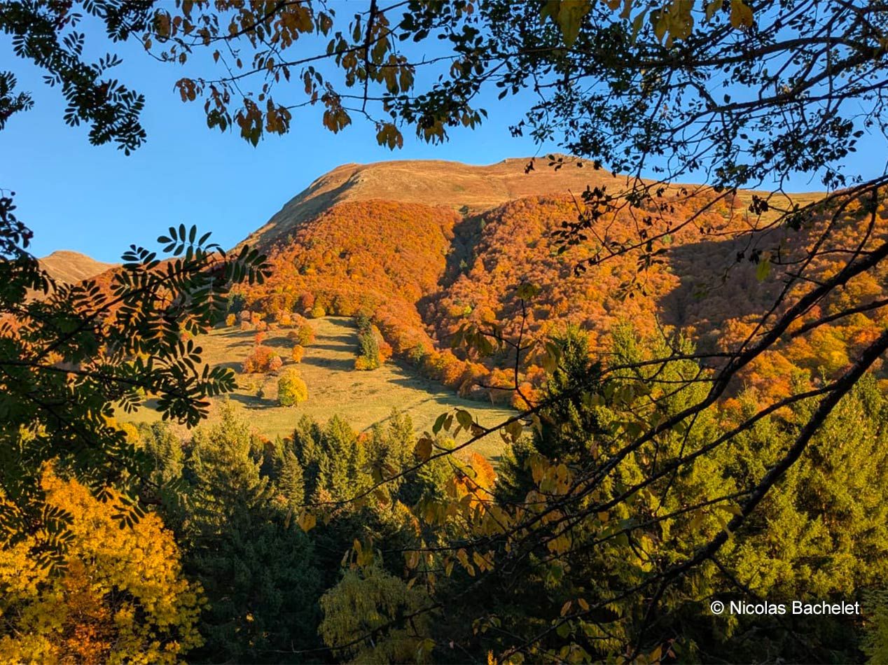 Le Puy Griou, Mont du Cantal : commune de Saint-Jacques-des-Blats