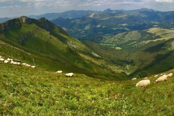 L'Arpon du diable, en dessous du Plomb du Cantal ©Frédéric Lécuyer