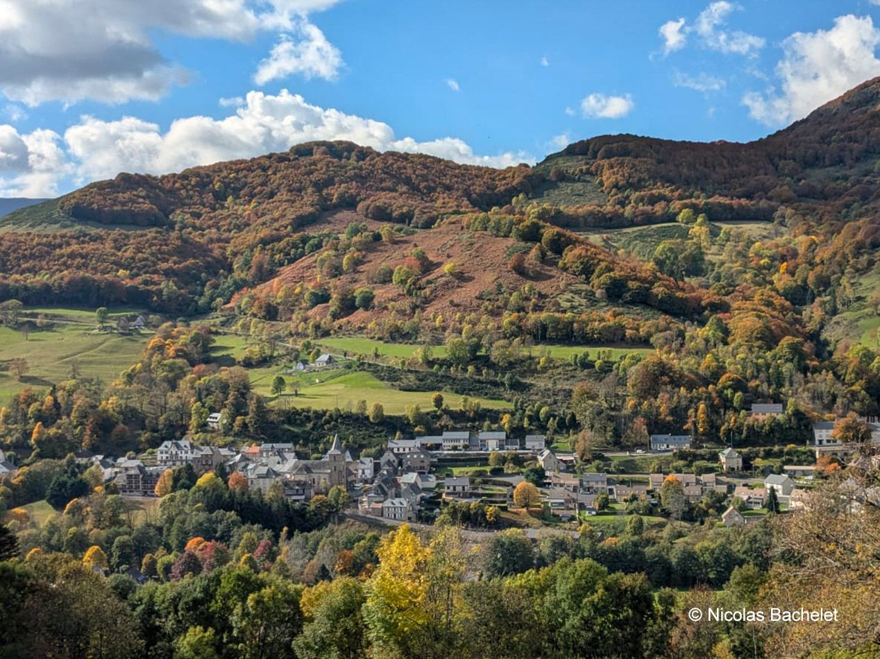 Automne à Saint-Jacques-des-Blats Cantal